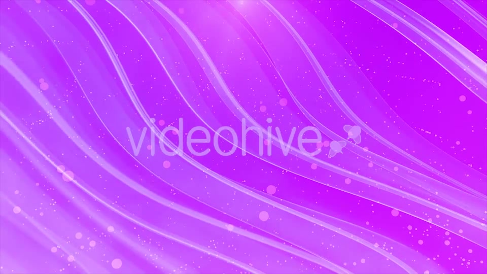 Elegant Pink Background Videohive 19848444 Motion Graphics Image 5