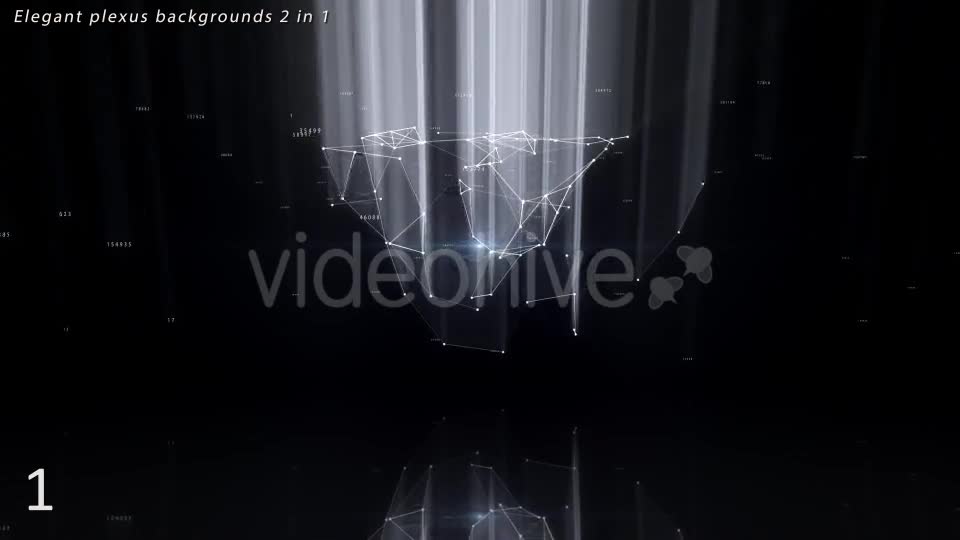 Elegant Plexus Videohive 11613628 Motion Graphics Image 1