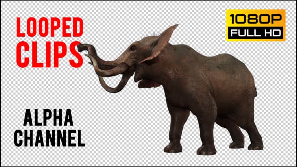 Elephant 2 - Videohive 20838838 Download