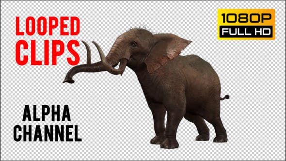 Elephant 5 - Videohive 20838924 Download