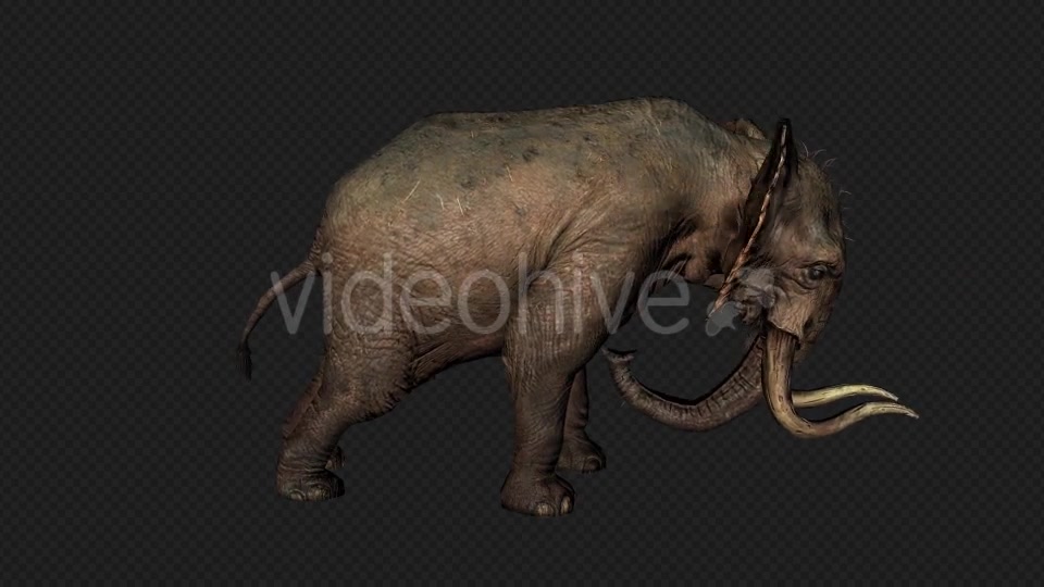 Elephant Attack And Firing Pack 6 In 1 Videohive 19869023 Motion Graphics Image 5