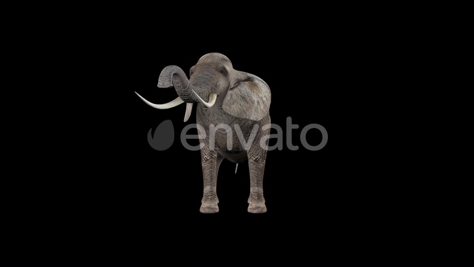 Elephant Eat Videohive 22803546 Motion Graphics Image 3