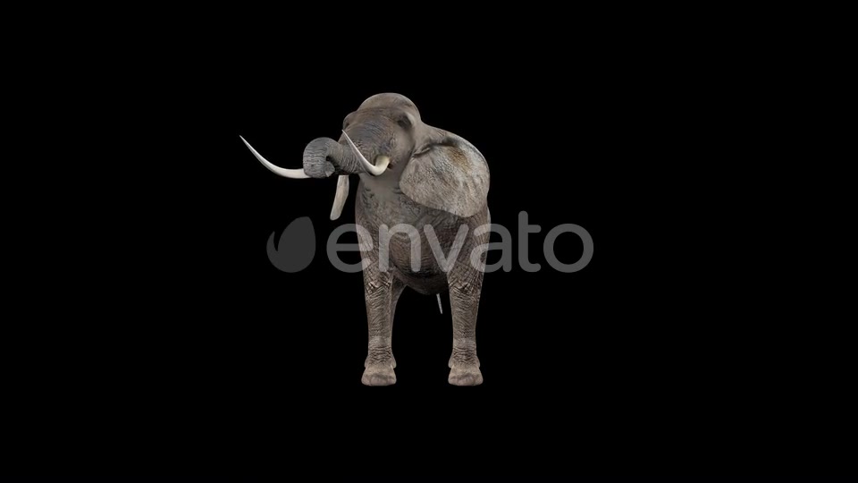 Elephant Eat Videohive 22803546 Motion Graphics Image 4