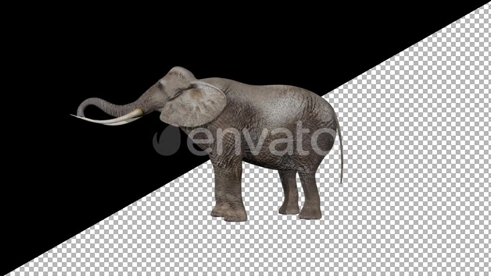 Elephant Eats Videohive 21740275 Motion Graphics Image 3