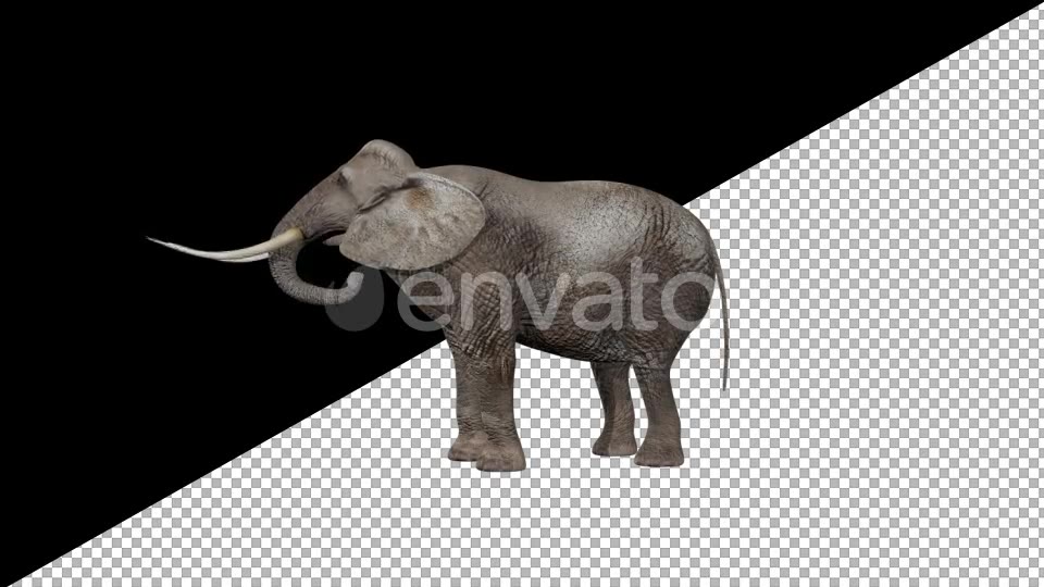 Elephant Eats Videohive 21740275 Motion Graphics Image 5