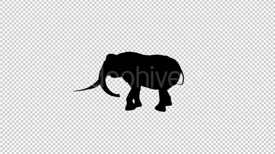 Elephant Walk Silhouette Videohive 20030745 Motion Graphics Image 1