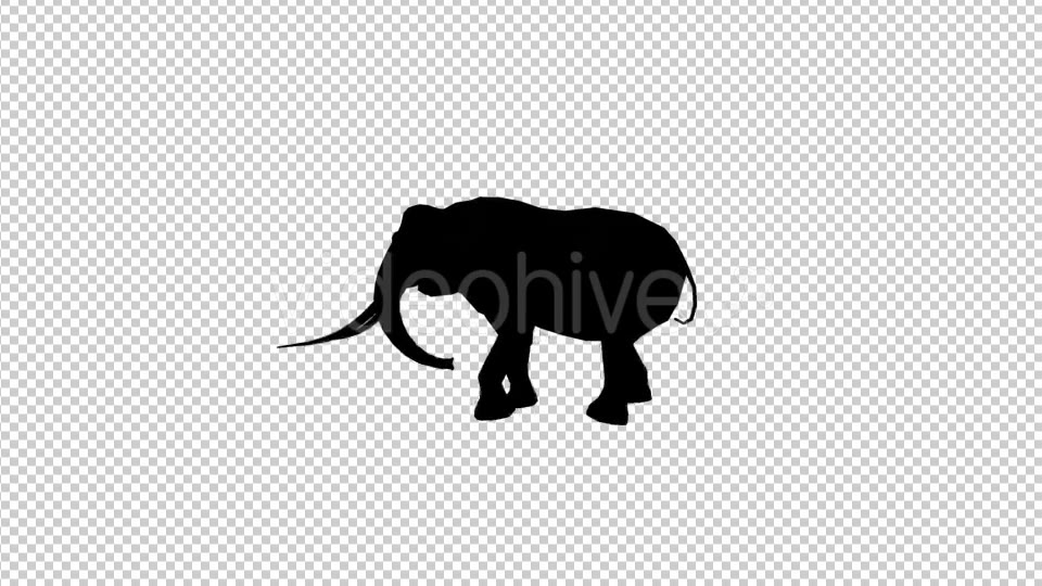 Elephant Walk Silhouette Videohive 20030745 Motion Graphics Image 3