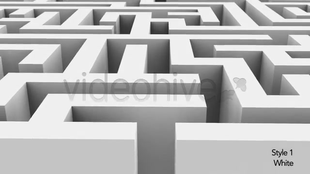 Entrance to a Maze or Labyrinth Puzzle 2 Styles Videohive 5494438 Motion Graphics Image 4