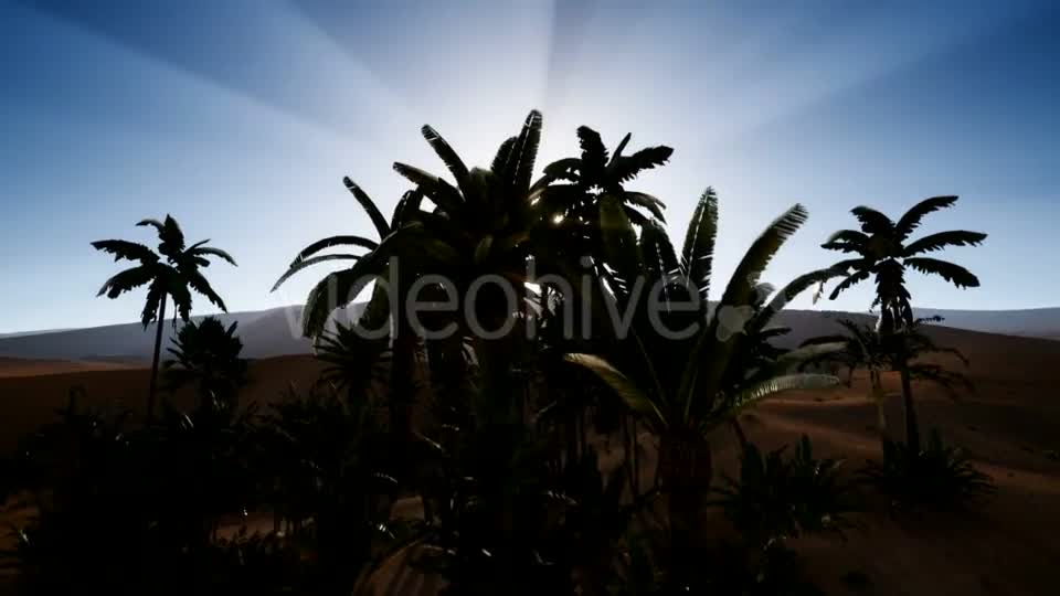 Erg Chebbi Dunes in the Sahara Desert Videohive 21041403 Motion Graphics Image 1