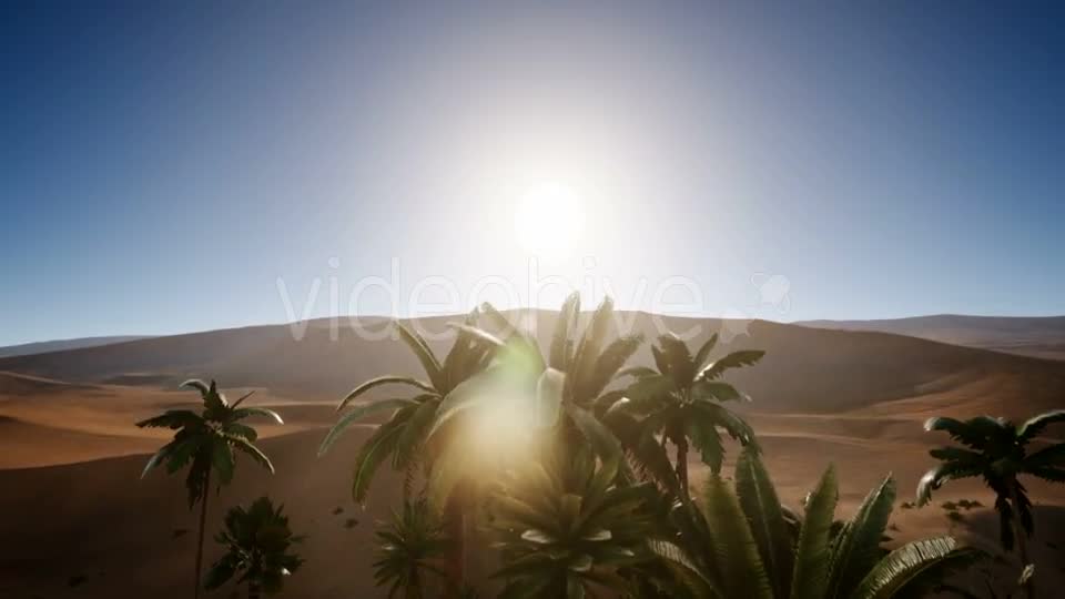 Erg Chebbi Dunes in the Sahara Desert Videohive 21041403 Motion Graphics Image 2