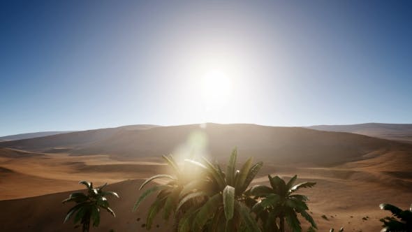 Erg Chebbi Dunes in the Sahara Desert - 21041403 Download Videohive