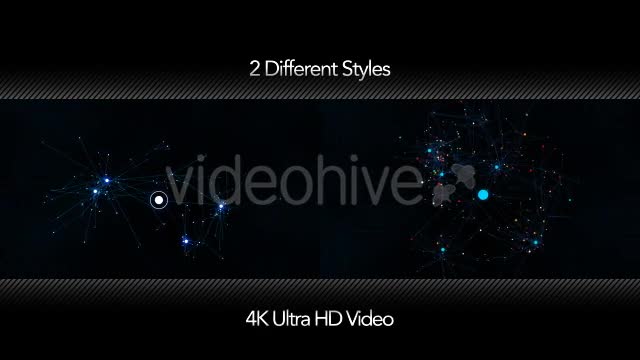 Exponential Growth in a Network 4K Videohive 19737822 Motion Graphics Image 1