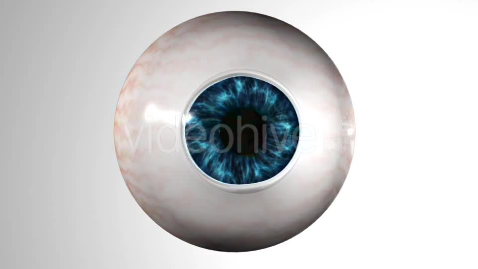 Eye Anatomy Videohive 21379125 Motion Graphics Image 1