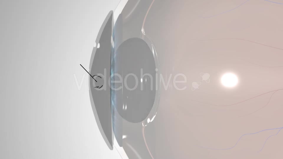 Eye Anatomy Videohive 21379125 Motion Graphics Image 8