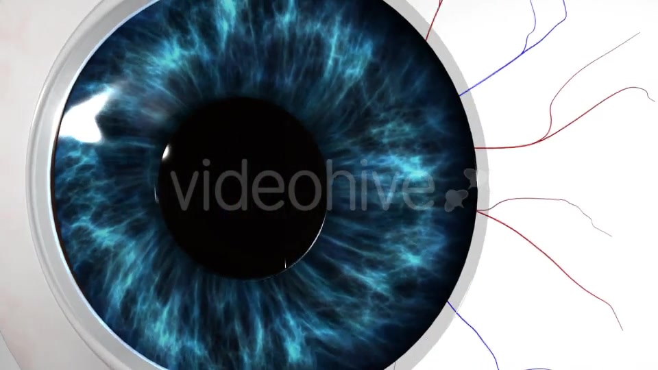 Eye Anatomy Videohive 21379125 Motion Graphics Image 9
