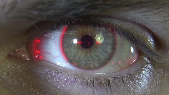 Eye with Red Hologram - 19913745 Videohive Download