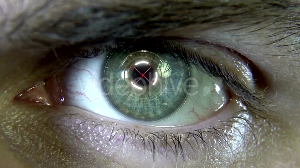 Eyes with Hologram Animation Videohive 19758447 Motion Graphics Image 8