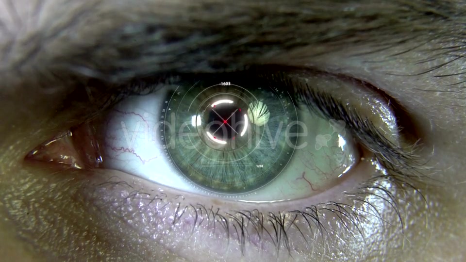 Eyes with Hologram Animation Videohive 19758447 Motion Graphics Image 9
