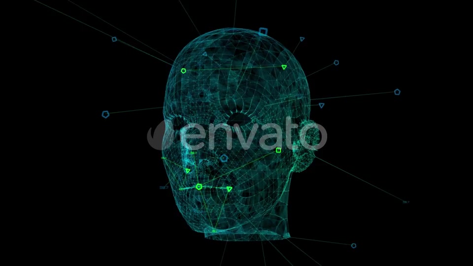 Face Recognition Videohive 25195599 Motion Graphics Image 3