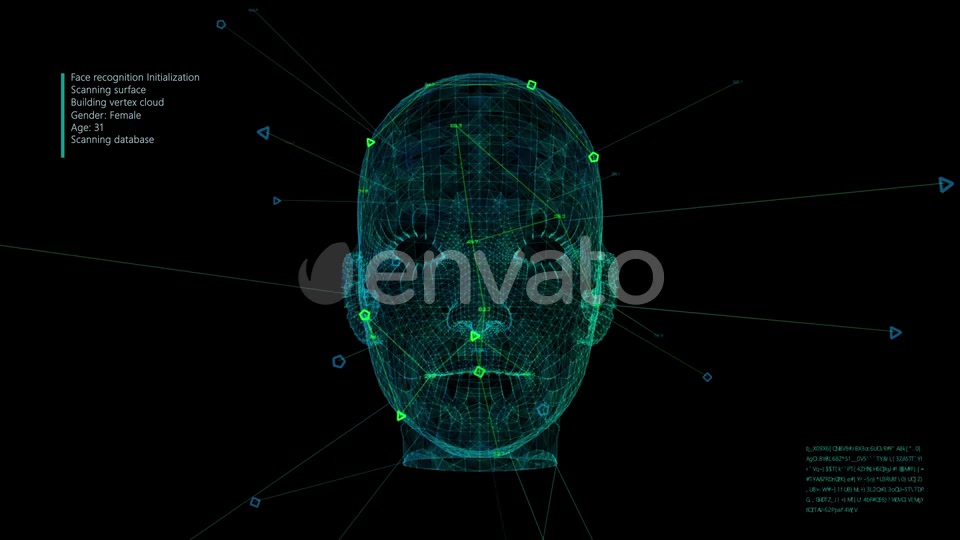 Face Recognition Videohive 25195599 Motion Graphics Image 7