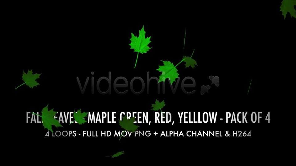 Fall Leaves Maple Mix Pack of 4 Videohive 5634650 Motion Graphics Image 4