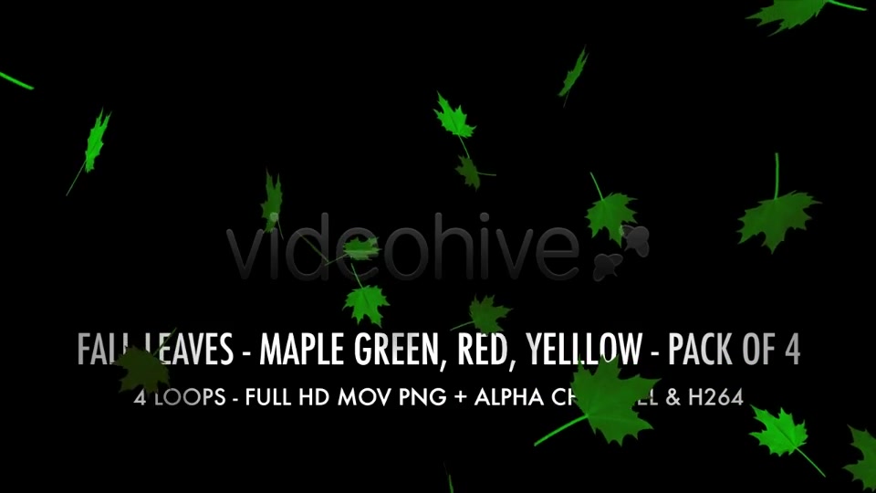 Fall Leaves Maple Mix Pack of 4 Videohive 5634650 Motion Graphics Image 6
