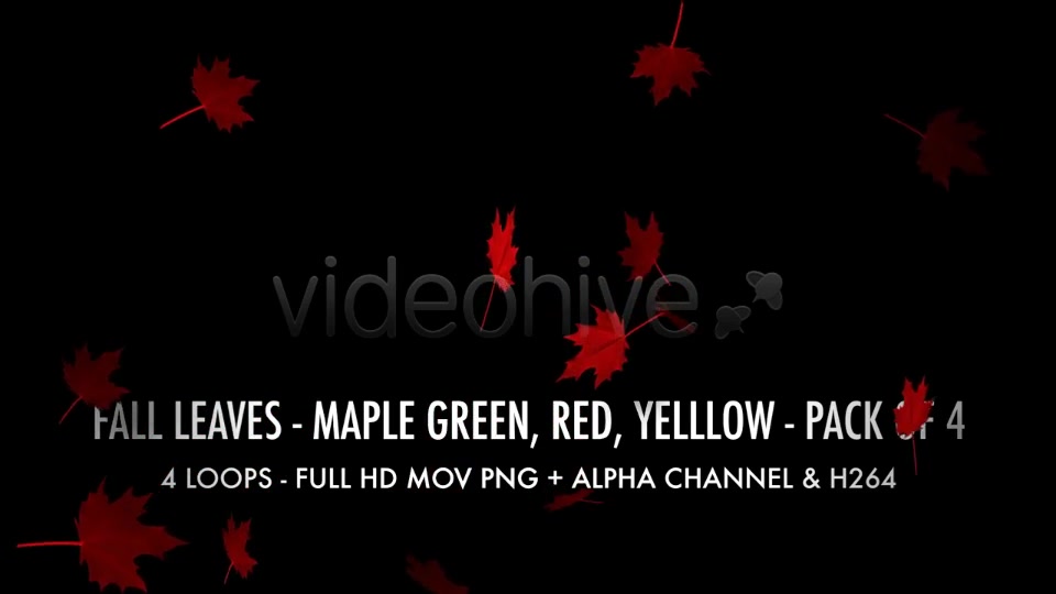 Fall Leaves Maple Mix Pack of 4 Videohive 5634650 Motion Graphics Image 7