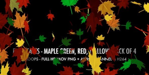 Fall Leaves Maple Mix Pack of 4 - Download Videohive 5634650