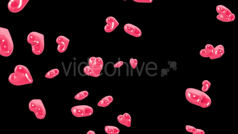 Falling Hearts with Alpha Channel Videohive 19378483 Motion Graphics Image 11