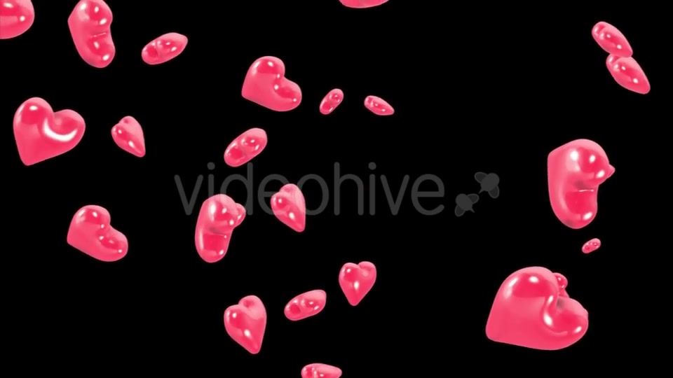 Falling Hearts with Alpha Channel Videohive 19378483 Motion Graphics Image 8