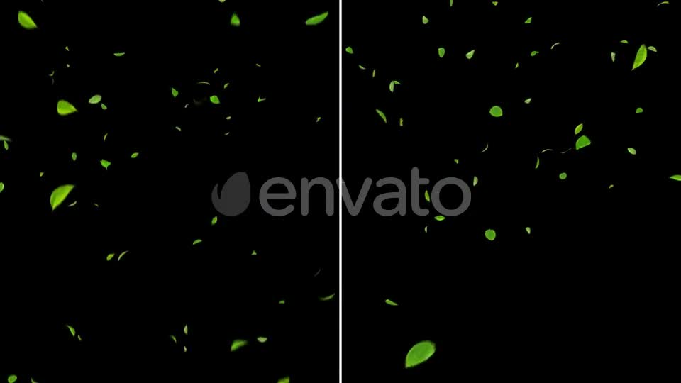 Falling Leaves 4K 4 Pack Videohive 24153356 Motion Graphics Image 1