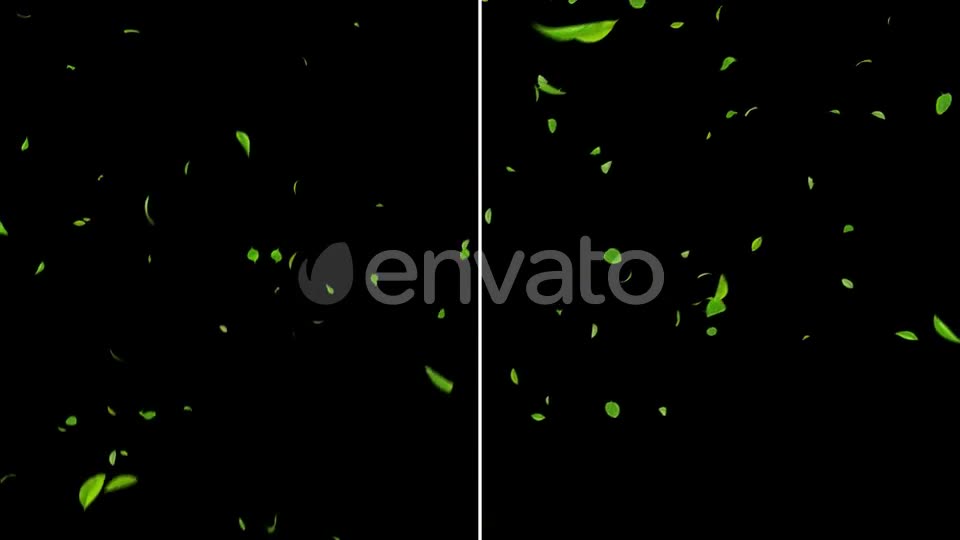 Falling Leaves 4K 4 Pack Videohive 24153356 Motion Graphics Image 2