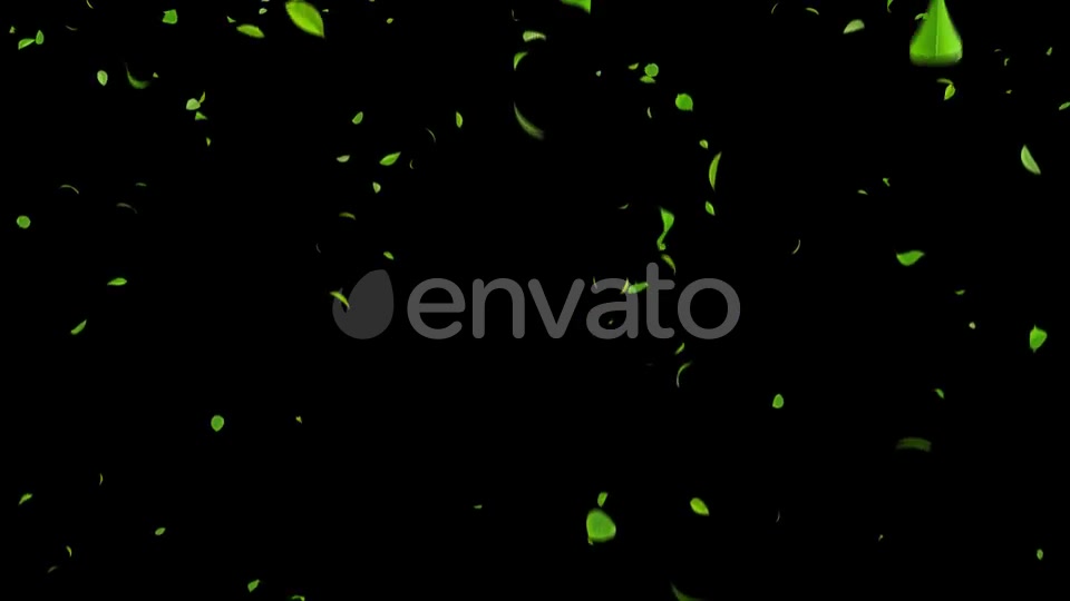 Falling Leaves 4K 4 Pack Videohive 24153356 Motion Graphics Image 8