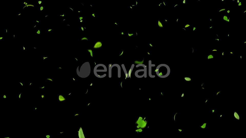Falling Leaves 4K 4 Pack Videohive 24153356 Motion Graphics Image 9