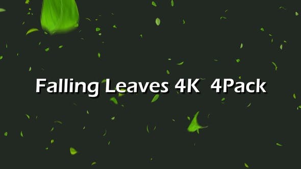 Falling Leaves 4K 4 Pack - Download Videohive 24153356