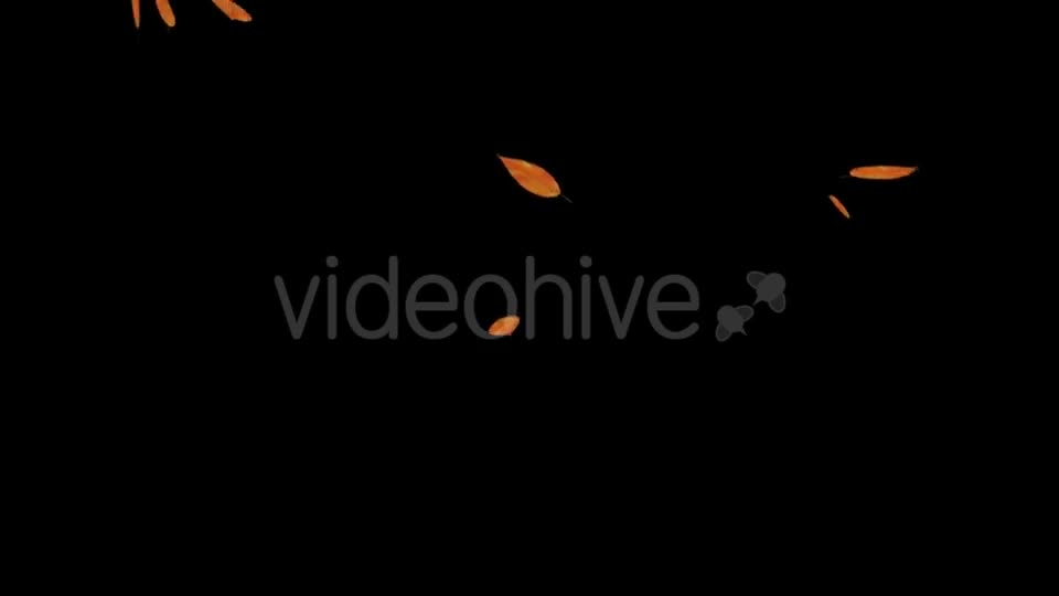 Falling Leaves Videohive 18739999 Motion Graphics Image 1