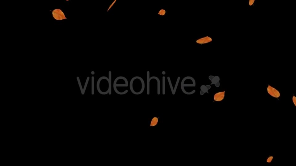 Falling Leaves Videohive 18739999 Motion Graphics Image 10