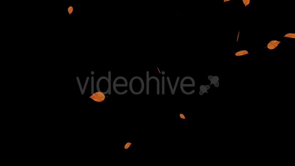 Falling Leaves Videohive 18739999 Motion Graphics Image 3