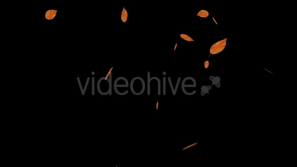 Falling Leaves Videohive 18739999 Motion Graphics Image 5