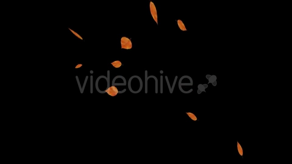 Falling Leaves Videohive 18739999 Motion Graphics Image 6
