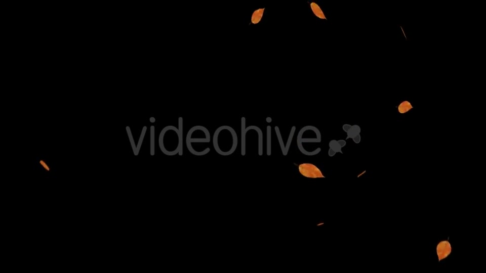 Falling Leaves Videohive 18739999 Motion Graphics Image 9