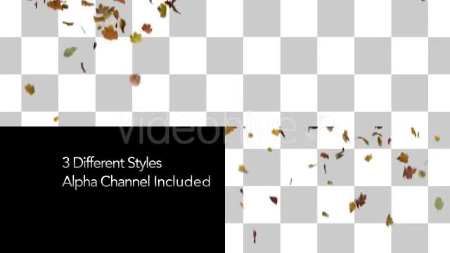 Falling Leaves Fill Screen Overlay Videohive 13185526 Motion Graphics Image 1