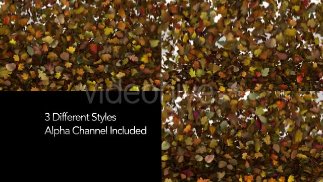 Falling Leaves Fill Screen Overlay Videohive 13185526 Motion Graphics Image 2