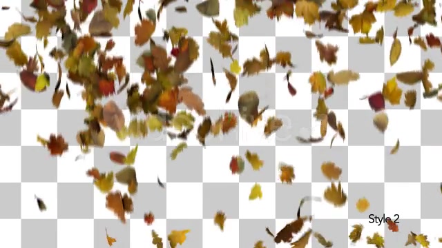 Falling Leaves Fill Screen Overlay Videohive 13185526 Motion Graphics Image 6