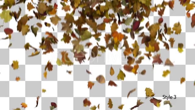 Falling Leaves Fill Screen Overlay Videohive 13185526 Motion Graphics Image 9