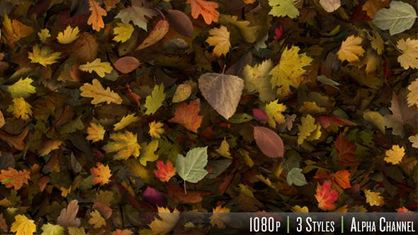 Falling Leaves Fill Screen Overlay - Videohive 13185526 Download
