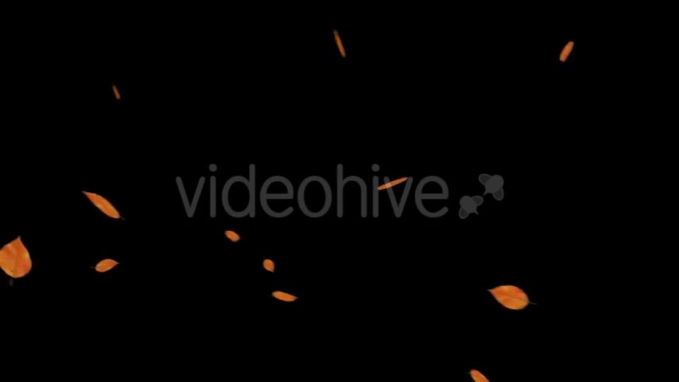 Falling Leaves With Alpha Channel Videohive 18739943 Motion Graphics Image 1