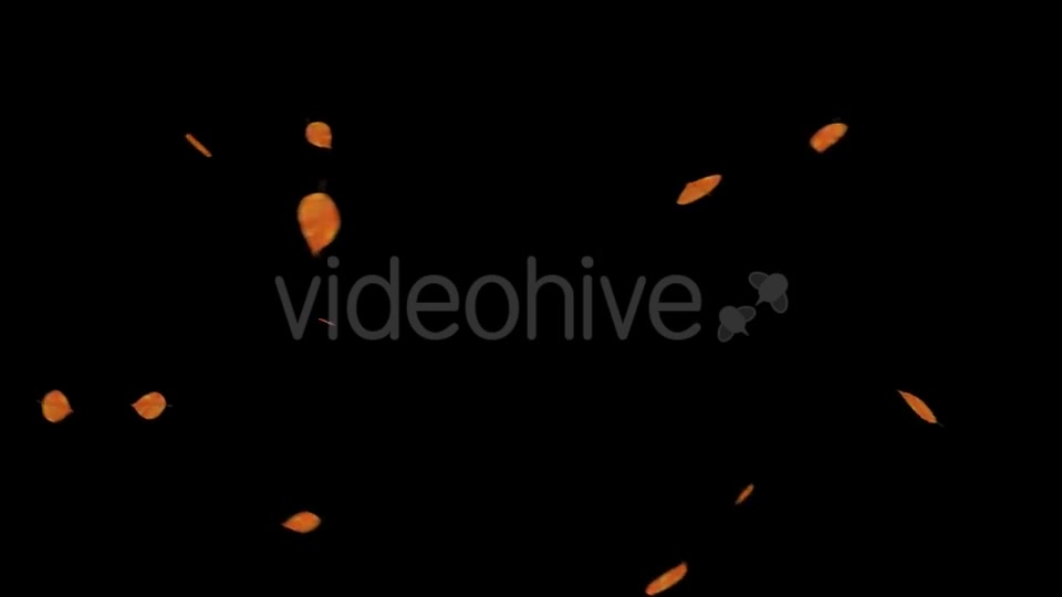 Falling Leaves With Alpha Channel Videohive 18739943 Motion Graphics Image 10
