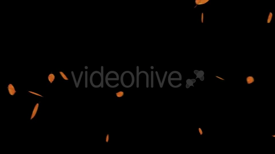 Falling Leaves With Alpha Channel Videohive 18739943 Motion Graphics Image 11