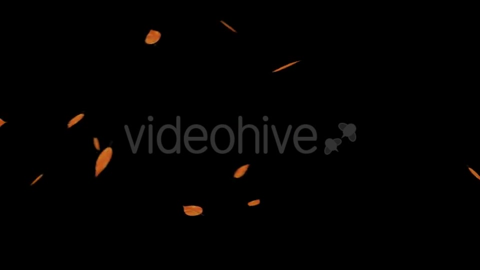 Falling Leaves With Alpha Channel Videohive 18739943 Motion Graphics Image 2